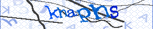 Validation Code